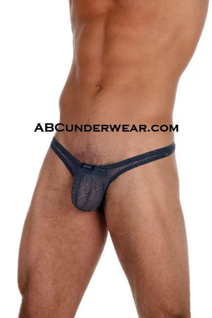 Stylish and Bold Gregg Homme Tigers Thong for Discerning Gentlemen